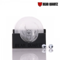 BEAR QUARTZ V2 SPINNER DISK CAP SET