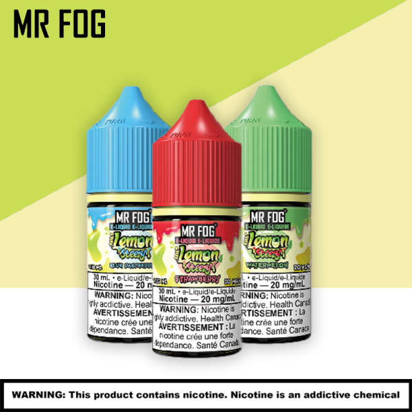 MR FOG STEEZY SERIES SALT E LIQUID 30ML