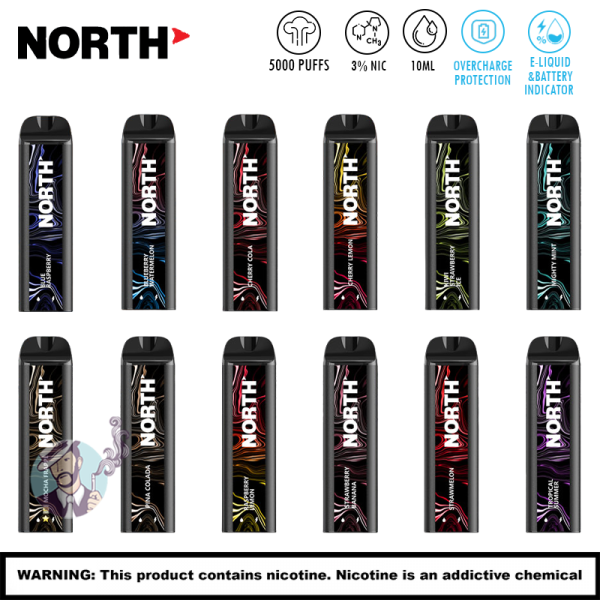 NORTH 3 NICOTINE 5000 PUFFS DISPOSABLE VAPE 10CT/DISPLAY