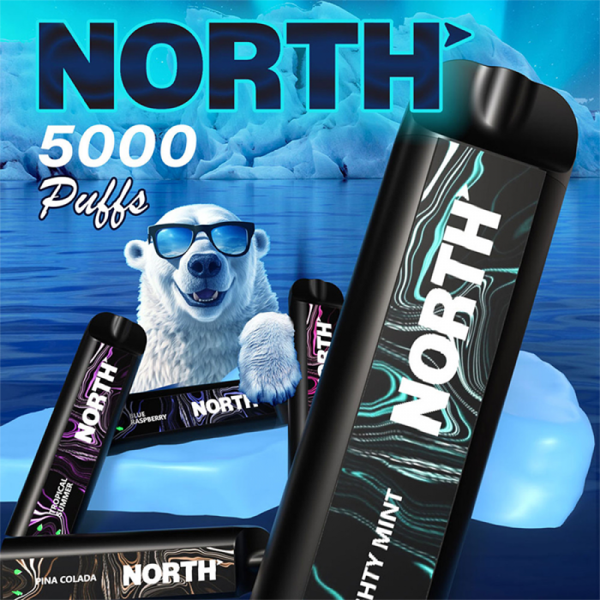 NORTH 5000 PUFFS DISPOSABLE VAPE 10CT/DISPLAY