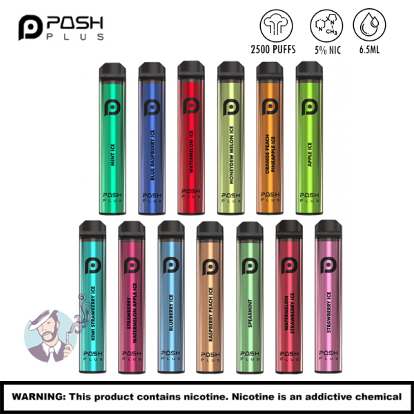 POSH PLUS NTN 2500 PUFFS DISPOSABLE VAPE 10CT/DISPLAY (CL)