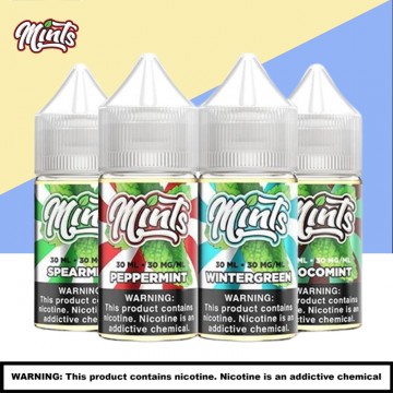 MINTS SALT E LIQUID 30ML